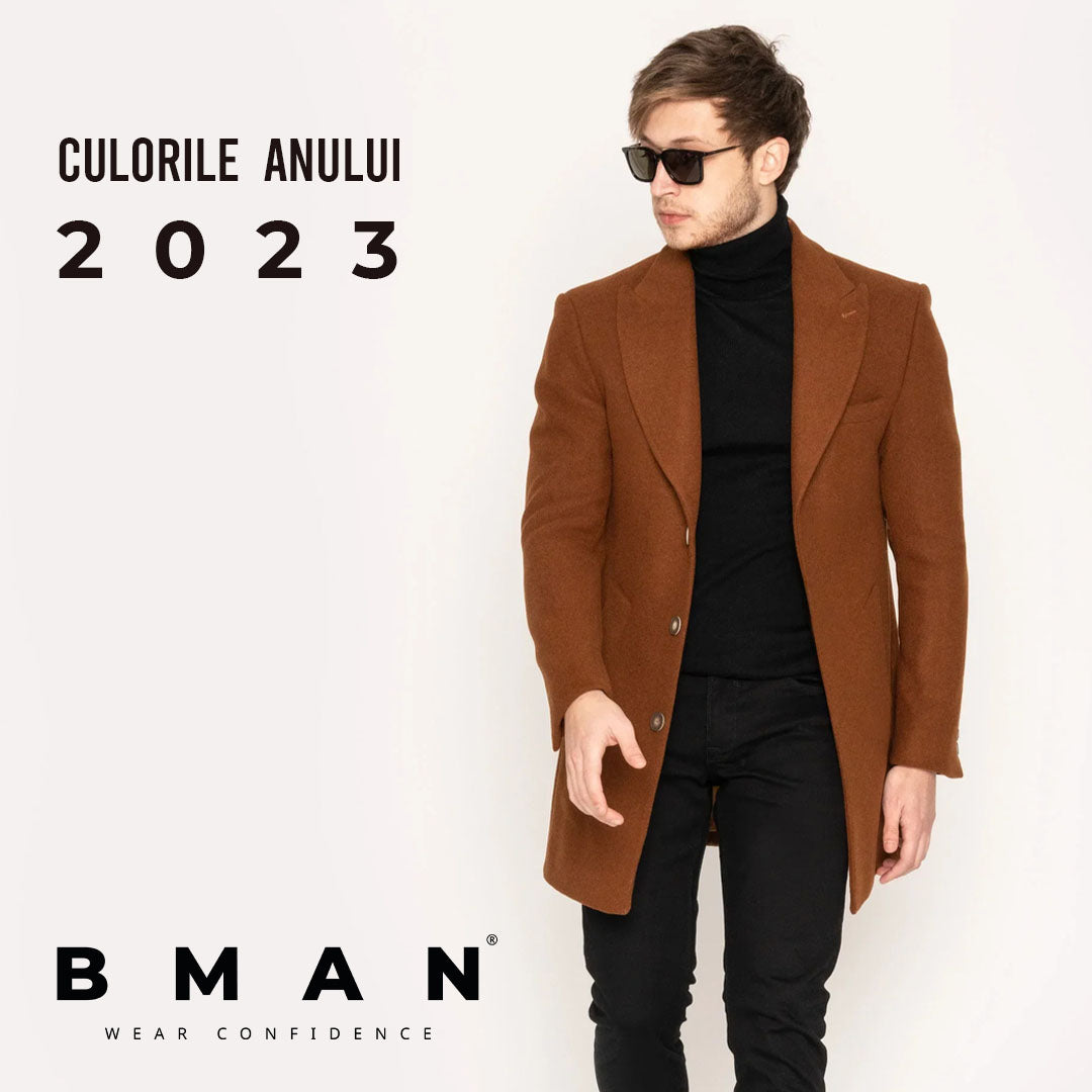 Culorile anului 2023