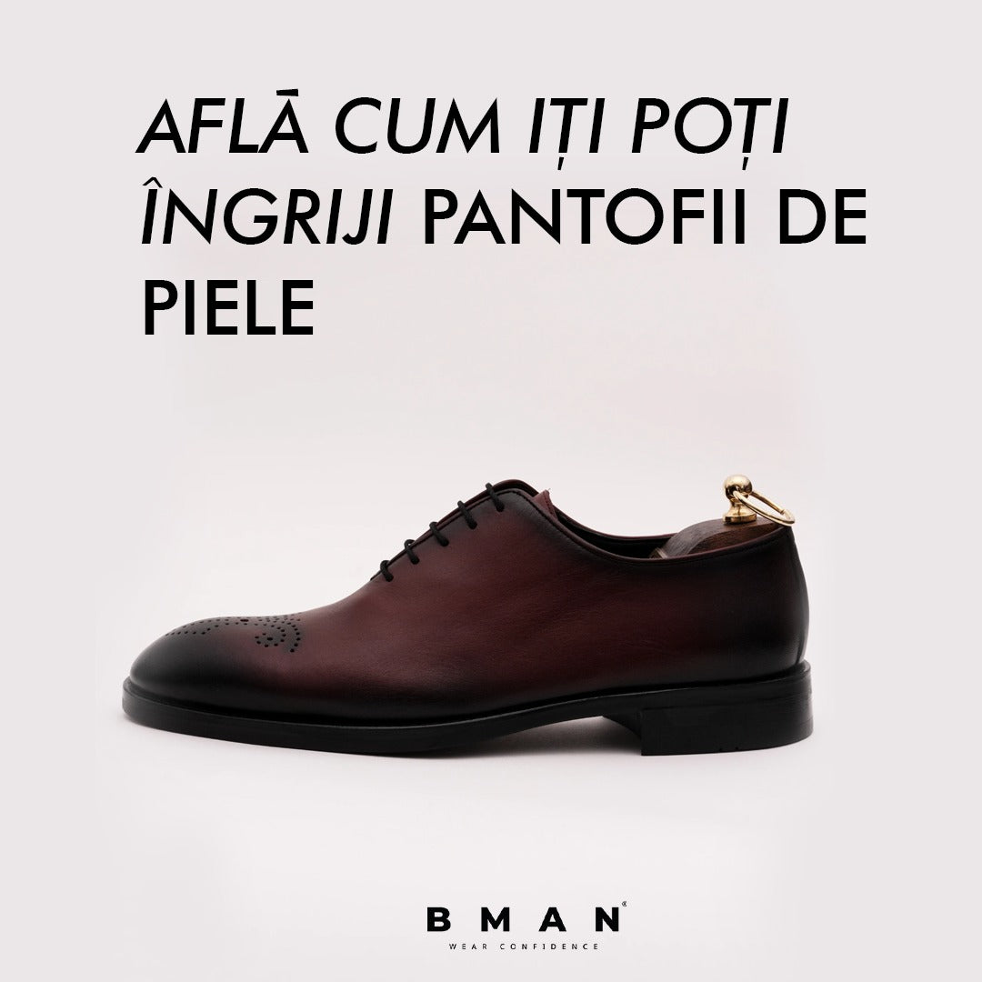 Afla cum iti poti ingriji pantofii de piele corespunzator